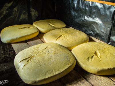La préparation du fromage 