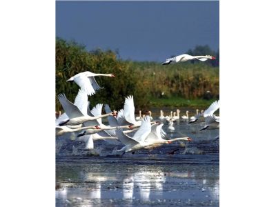 ESCAPADES - Travel in the Danube Delta