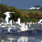 ESCAPADES - Travel in the Danube Delta