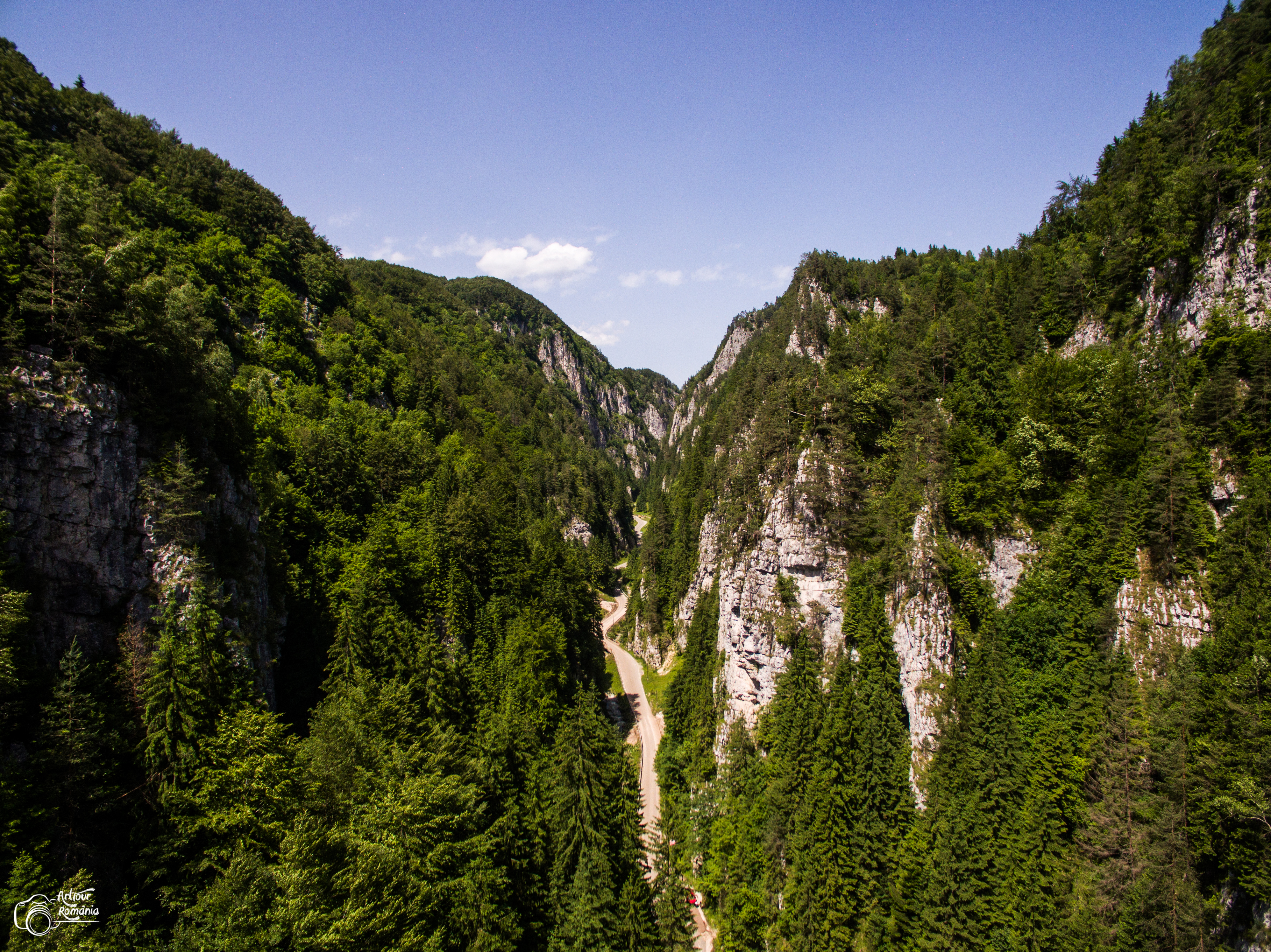 Les Gorges de Dambovicioara, Roumanie
