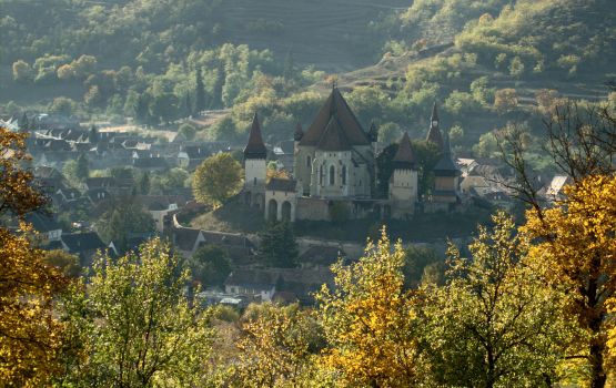 Circuit Gastronomique en Roumanie - à partir de 560 €