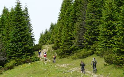 Mountain biking in the Southern Carpathians - 6 days from 619€