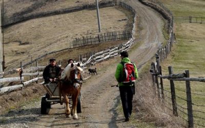 Randonnée dans les montagnes de la Transylvanie - 8 jours à partir de  426 €