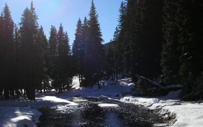 Cross country skiing and winter hiking in Romania - 7 days from 848 €