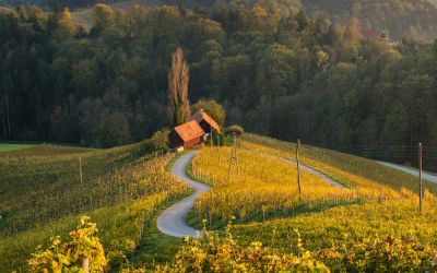 Culinary tasting in Slovenia - 6 days from 913 €