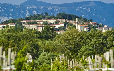 Culinary tasting in Slovenia - 6 days from 913 €